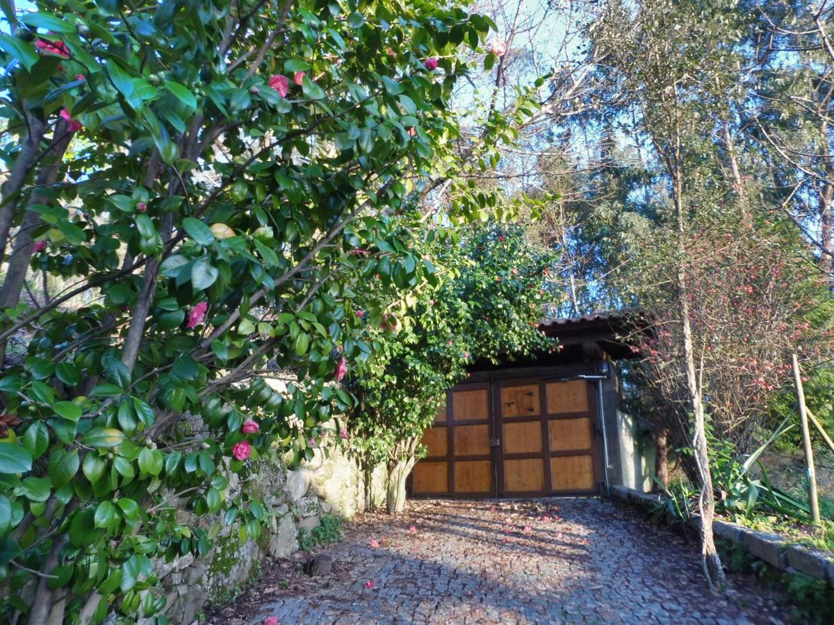 Quinta Da Tapada Διαμέρισμα Longos Εξωτερικό φωτογραφία