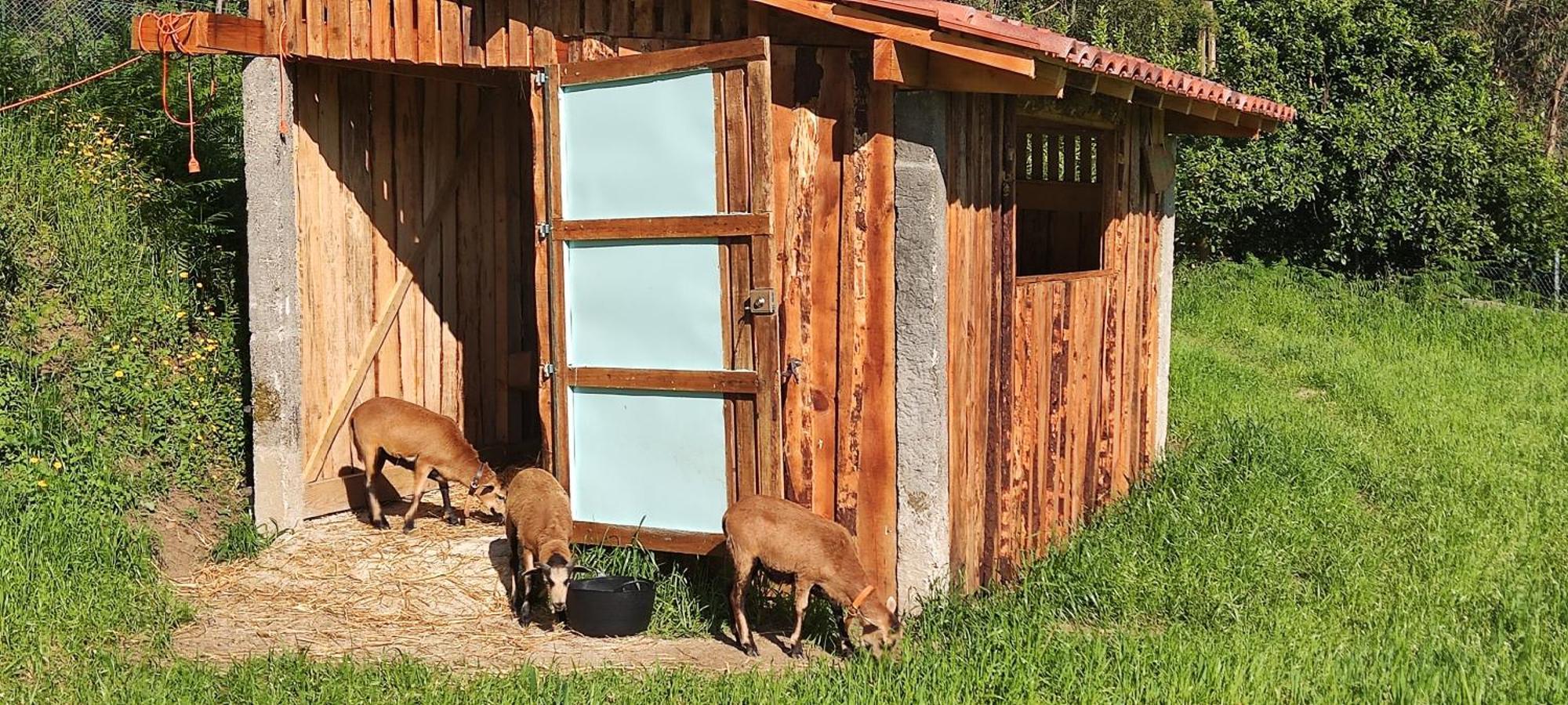 Quinta Da Tapada Διαμέρισμα Longos Εξωτερικό φωτογραφία