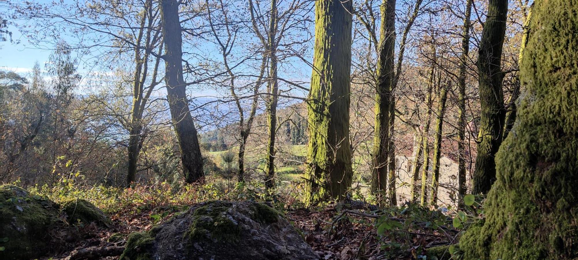 Quinta Da Tapada Διαμέρισμα Longos Εξωτερικό φωτογραφία